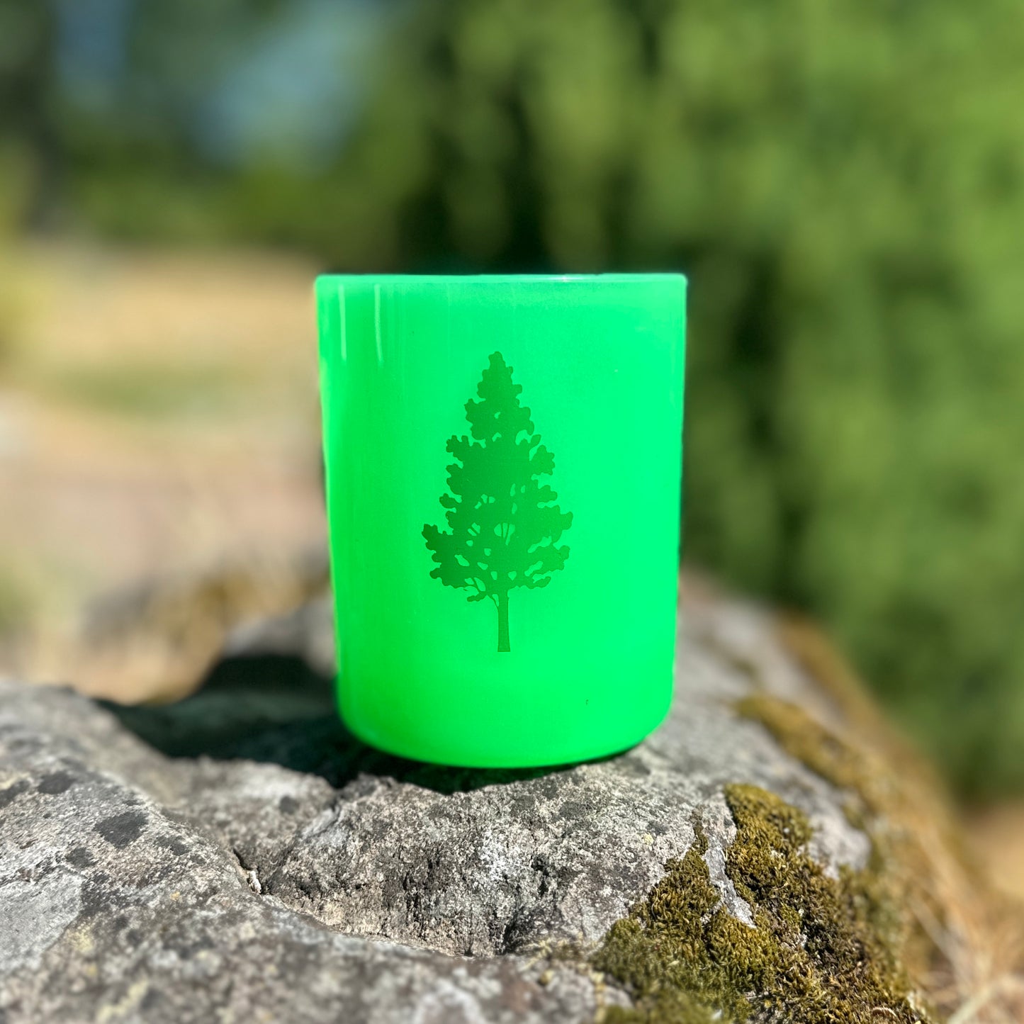 NWRC Silipint