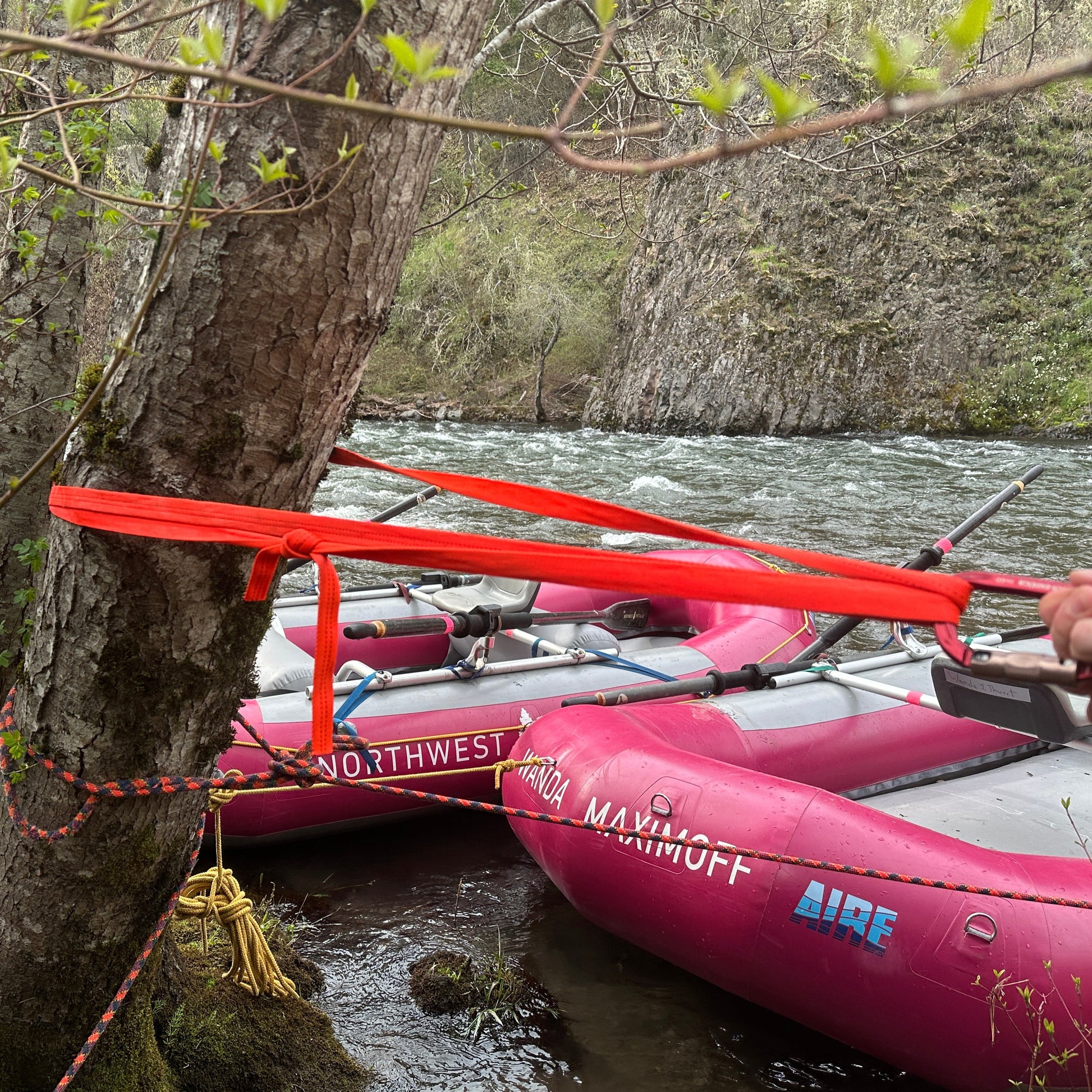 Webbing sling as a tree anchor with a basket hitch
