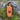 Sockdolager Flare 55' Throw Bag