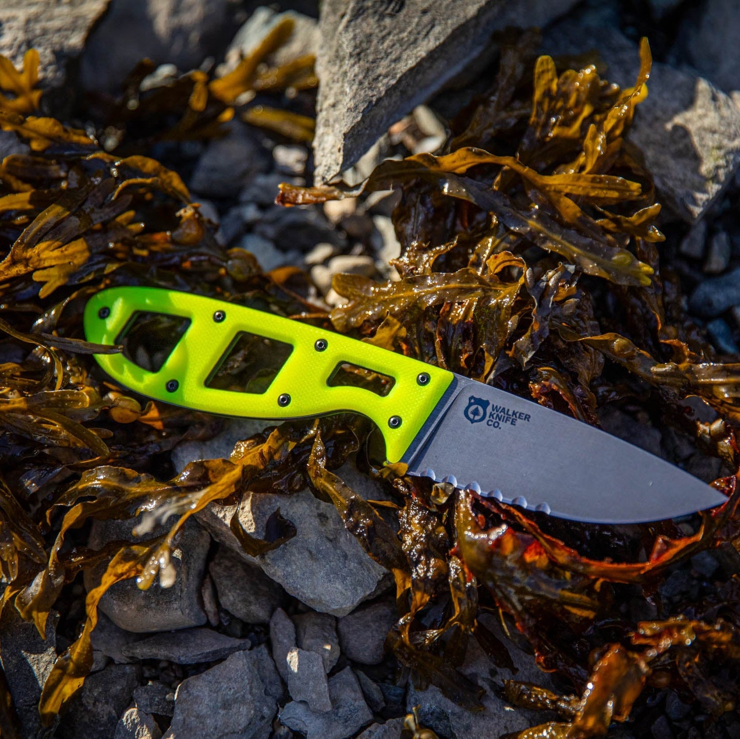 Walker Knife Co Crux