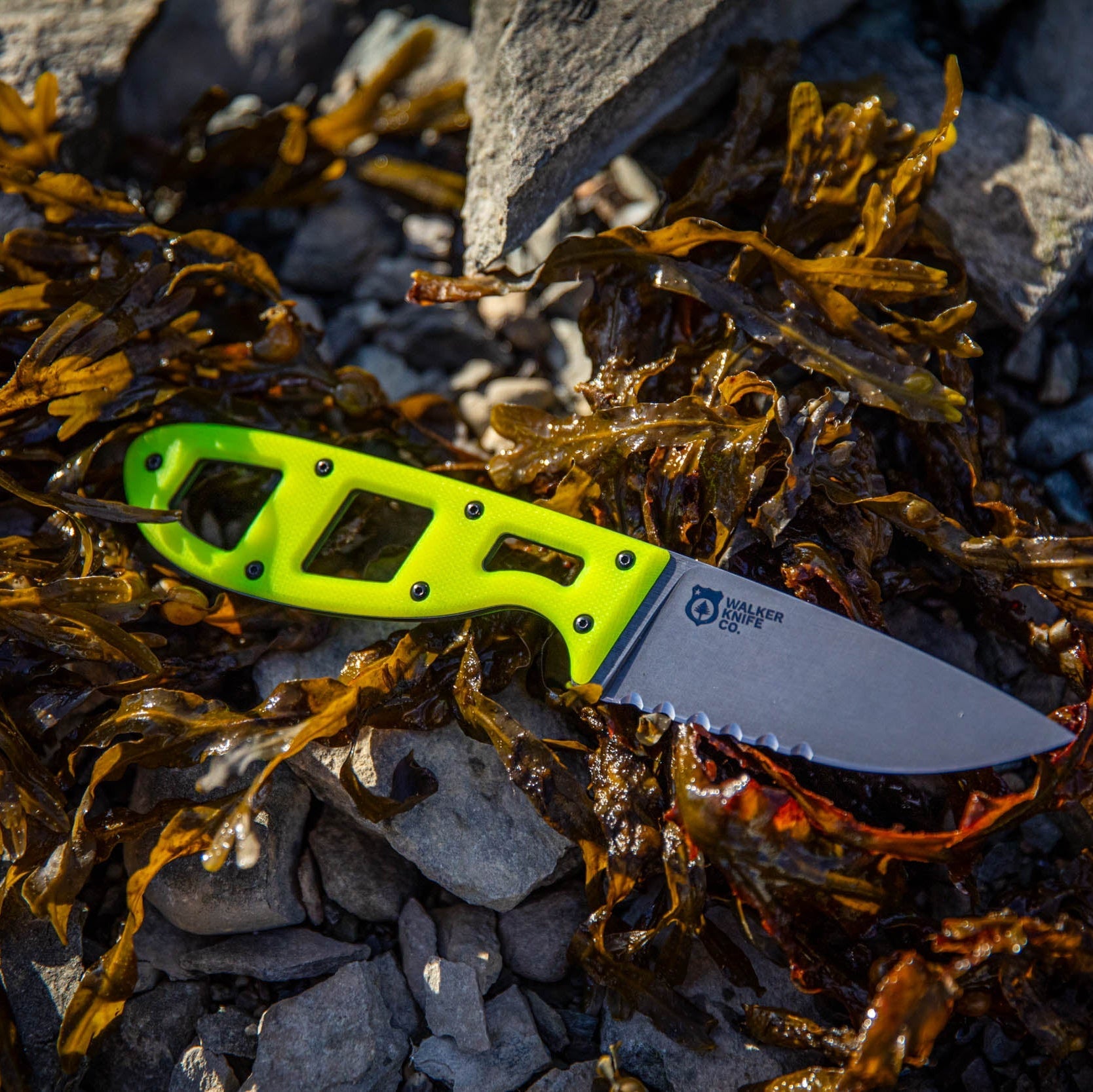 Walker Knife Co Crux