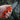 Walker Knife Orange