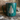 NWRC Camp Cup